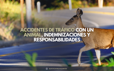 Accidentes de tráfico con un animal, indemnizaciones y responsabilidades